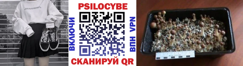 Псилоцибиновые грибы прущие грибы Куйбышев